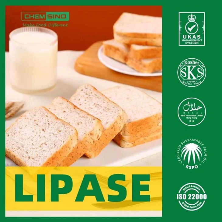 Chemsino Lipase enzyme