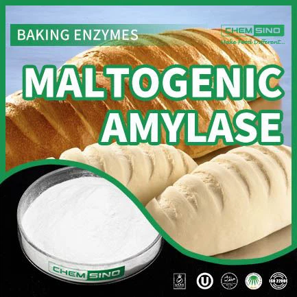 Maltogenní amyláza – nejsladší spojenec vašeho receptu! CAS NO. 9000-92-4