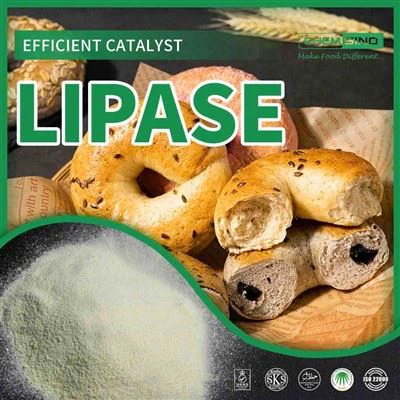 Jemný pro váš žaludek, silný pro trávení: Lipázový enzym CAS NO.:9001-62-1